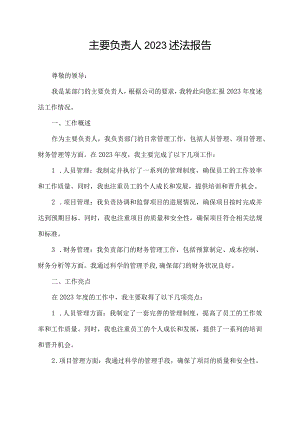 主要负责人2023述法报告.docx