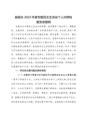 副县长2023年度专题民主生活会个人对照检查发言提纲.docx