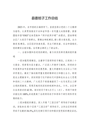 县委班子工作总结.docx