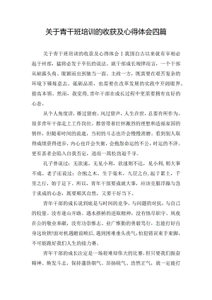 关于青干班培训的收获及心得体会四篇.docx