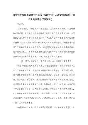在全县党支部书记暨乡村振兴“头雁计划”人才专题培训班开班式上的讲话.docx