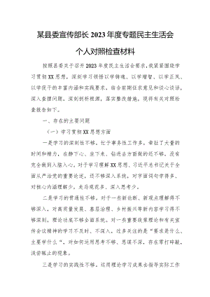 某县委宣传部长2023年度专题民主生活会个人对照检查材料.docx