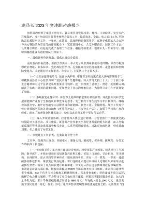 副县长2023年度述职述廉报告.docx