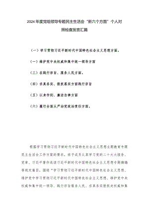 2024年度党组领导专题民主生活会“新六个方面”个人对照检查发言汇篇.docx