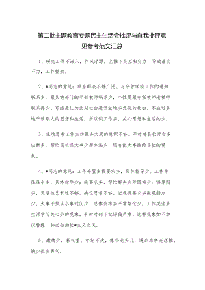 第二批主题教育专题民主生活会批评与自我批评意见参考范文汇总.docx