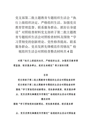 党支部第二批主题教育专题组织生活会“执行上级组织决定、严格组织生活、加强党员教育管理监督、联系服务群众、抓好自身建设”对照检查材.docx