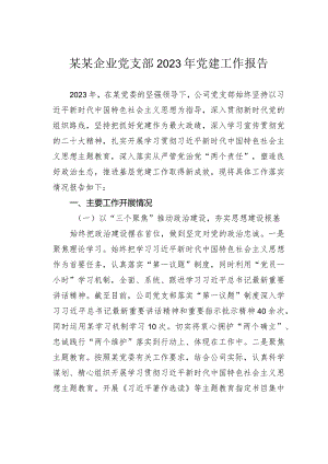 某某企业党支部2023年党建工作报告.docx