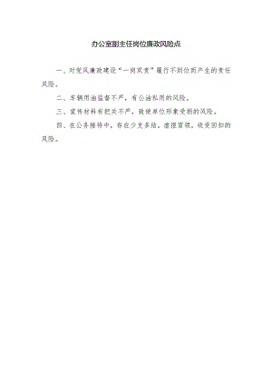 办公室副主任岗位廉政风险点.docx