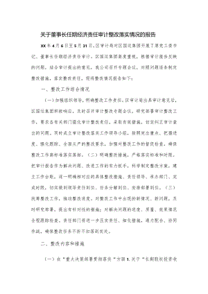关于董事长任期经济责任审计整改落实情况的报告.docx