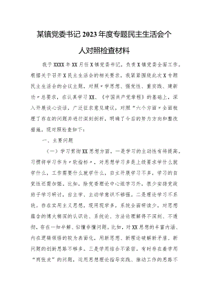 某镇党委书记2023年度专题民主生活会个人对照检查材料.docx