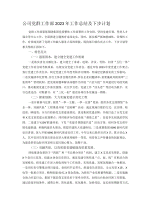 公司党群工作部2023年工作总结及下步计划.docx