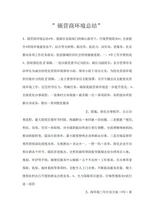 -镇营商环境总结-.docx