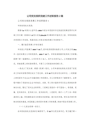 公司党支部抓党建工作述职报告2篇.docx