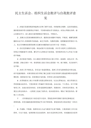 民主生活会、组织生活会批评与自我批评意见.docx