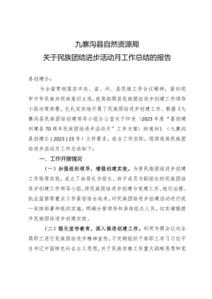 关于民族团结进步活动月工作总结的报告.docx