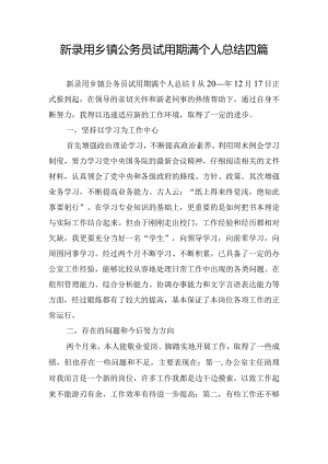 新录用乡镇公务员试用期满个人总结四篇.docx