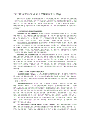 市行政审批局领导班子2023年工作总结.docx