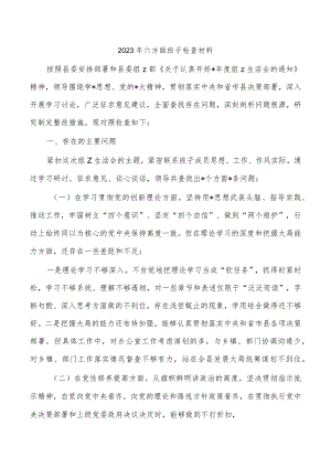 2023年六方面班子检查材料.docx