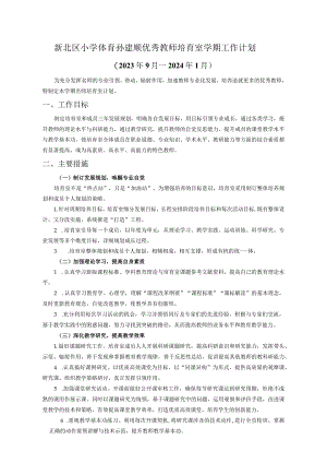 新北区小学体育孙建顺优秀教师培育室学期工作计划.docx