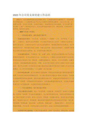 2023年公司党支部党建工作总结.docx