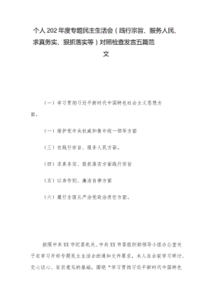 个人202年度专题民主生活会 (践行宗旨、服务人民、求真务实、狠抓落实等) 对照检查发言五篇范文.docx