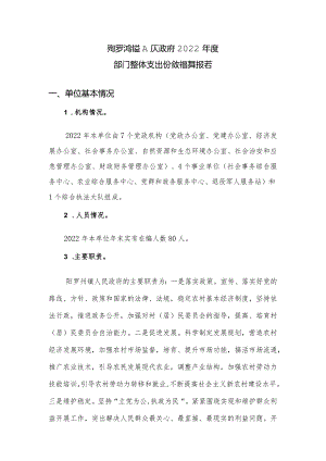 阳罗洲镇人民政府2022年度部门整体支出绩效自评报告.docx