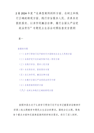 2篇2024年度“在典型案例剖析方面、在树立和践行正确政绩观方面、践行宗旨服务人民、求真务实狠抓落实、以身作则廉洁自律、履行全面从严.docx