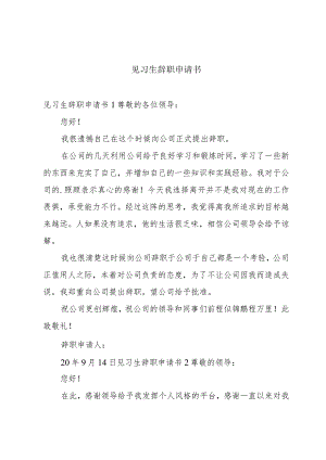 见习生辞职申请书.docx