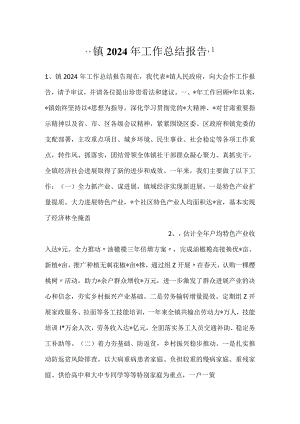 -镇2024年工作总结报告-.docx