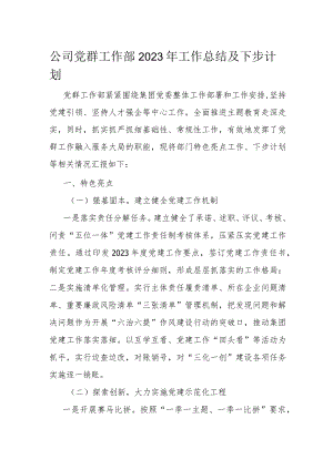 公司党群工作部2023年工作总结及下步计划.docx