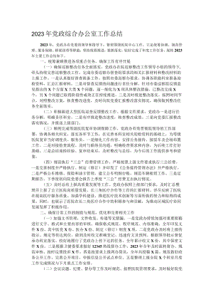2023年党政综合办公室工作总结.docx