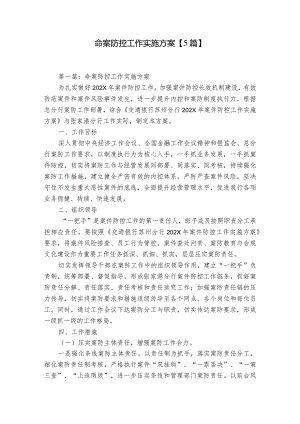 命案防控工作实施方案【5篇】.docx