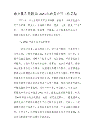 市文化和旅游局2023年政务公开工作总结.docx