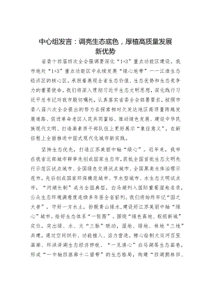 2024年理论中心组专题学习发言材料（精选两篇合辑）.docx