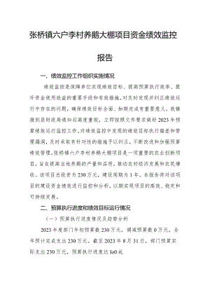 张桥镇六户李村养鹅大棚项目资金绩效监控报告.docx
