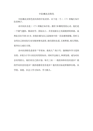 中队概况及特色.docx