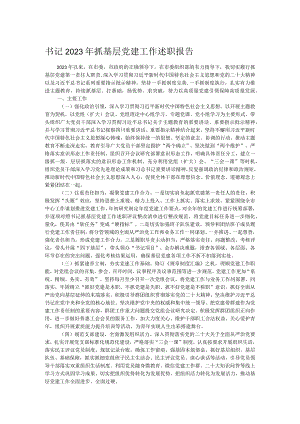 书记2023年抓基层党建工作述职报告.docx
