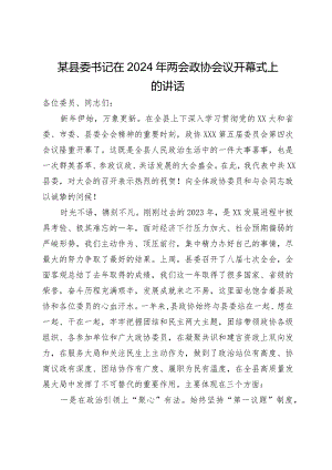 某县委书记在2024年两会政协会议开幕式上的讲话.docx
