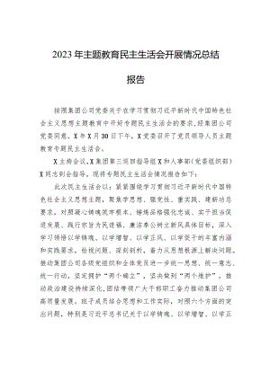 2023年主题教育民主生活会开展情况总结报告.docx