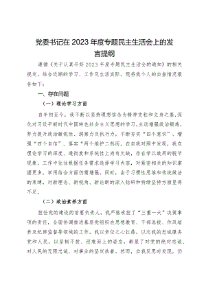 党委书记在2023年度专题民主生活会上的发言提纲.docx