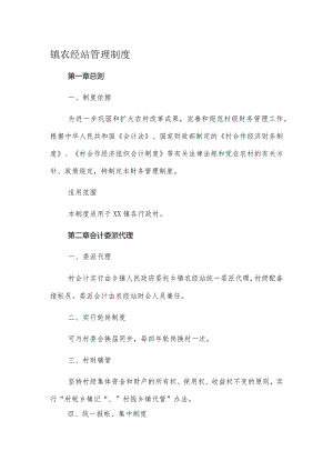 镇农经站管理制度.docx