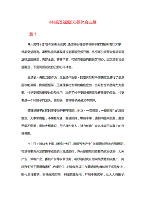 村书记培训班心得体会三篇.docx