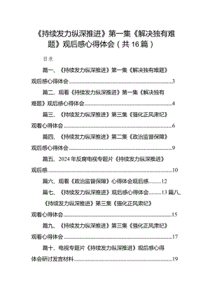 《持续发力纵深推进》第一集《解决独有难题》观后感心得体会范文精选(16篇).docx