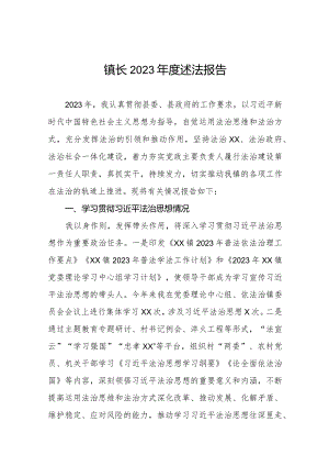镇党政主要负责人2023年度述法报告八篇.docx