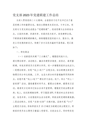 党支部2023年党建联建工作总结.docx