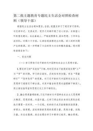第二批主题教育专题民主生活会对照检查材料(领导干部).docx