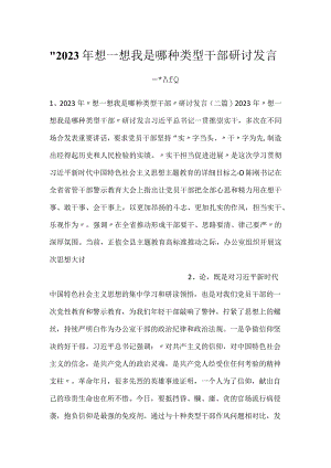-2023年想一想我是哪种类型干部研讨发言二篇-.docx