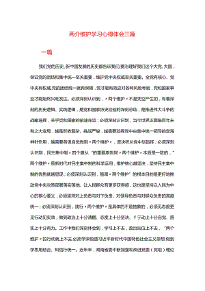 两个维护学习心得体会三篇.docx