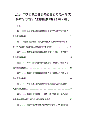 （9篇）2024年落实第二批专题教育专题民主生活会六个方面个人检视剖析材料1精选.docx