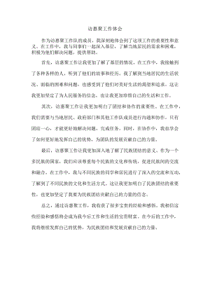 访惠聚工作体会.docx